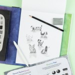 Amazing Artist Kit - Learn. Imagine. Create.- Tiger Tribe